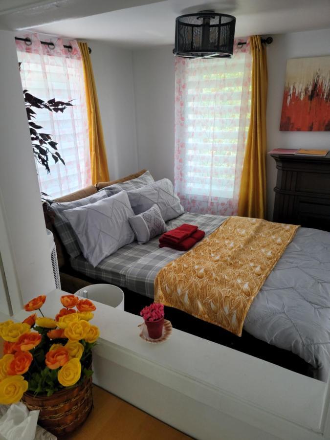 Vibrant Apartment In The Heart Of The Town Edmundston Luaran gambar